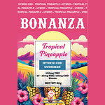 Tropical Pineapple 10ct by Bonanza