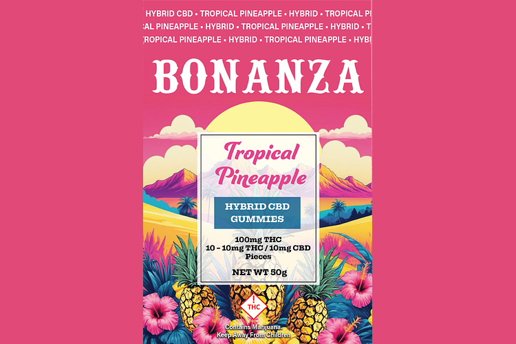 Tropical Pineapple 10ct by Bonanza