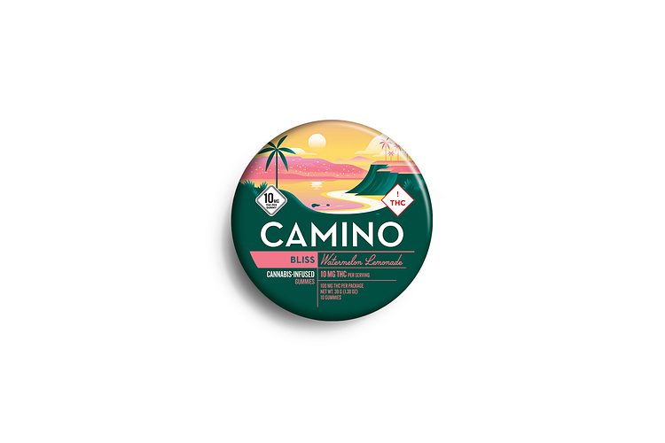 Watermelon Lemonade 10ct by Camino