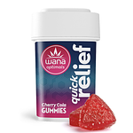 Fast Asleep 100mg 10ct by Wana
