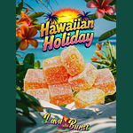 Rosin Gummies Hawaiian Holiday (S) 100mg 10ct by Equilibrium