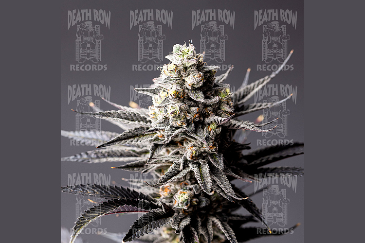 Stay Puft by Death Row Records