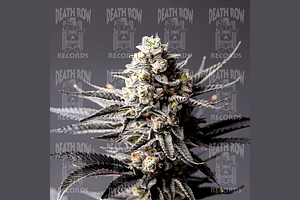 Stay Puft by Death Row Records