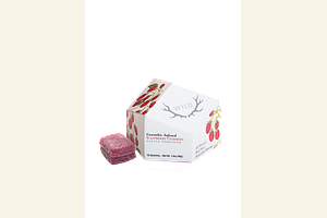 Raspberry 100mg 10ct by Wyld