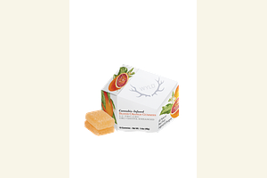 Blood Orange 100mg 10ct by Wyld