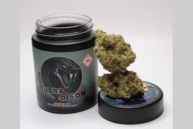 Durban Poison by Enchanted Botanicals