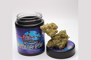 Blue Drop Top by Enchanted Botanicals