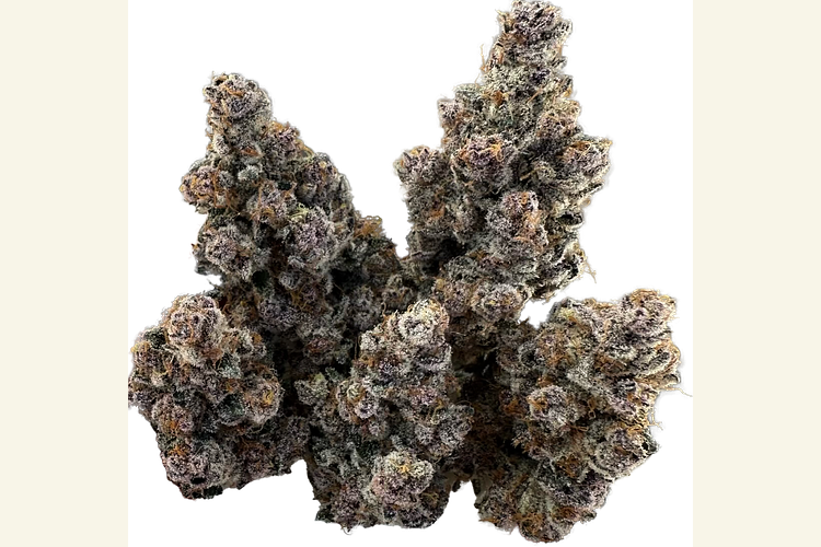 Tropical Infusion by HNC