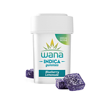 Blueberry Lemonade 20ct by Wana