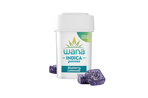 Blueberry Lemonade 20ct by Wana