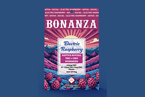 Electric Raspberry Social 10ct by Bonanza