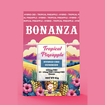 Tropical Pineapple 10ct by Bonanza