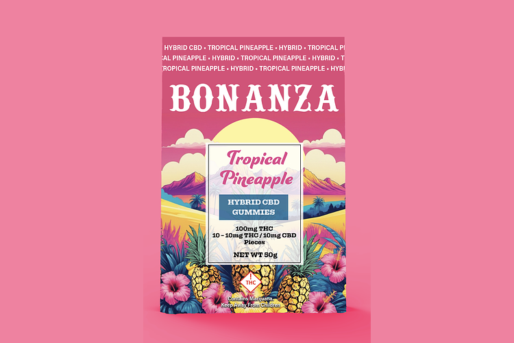 Tropical Pineapple 10ct by Bonanza