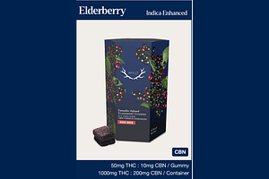 Elderberry 20ct by Wyld