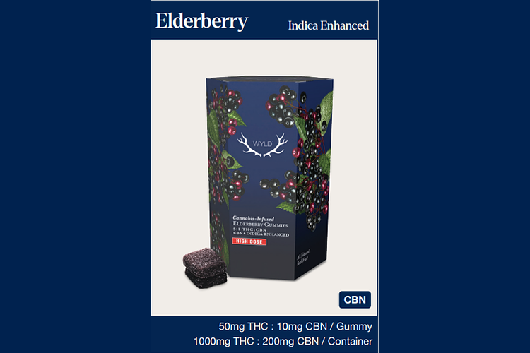 Elderberry 20ct by Wyld