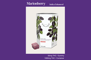 Marionberry 20ct by Wyld