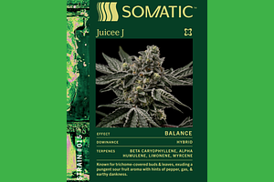 Juicee J by Somatic