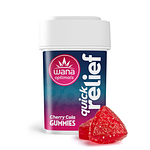 Fast Asleep 100mg 10ct by Wana