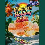 Rosin Gummies Hawaiian Holiday (S) 100mg 10ct by Equilibrium