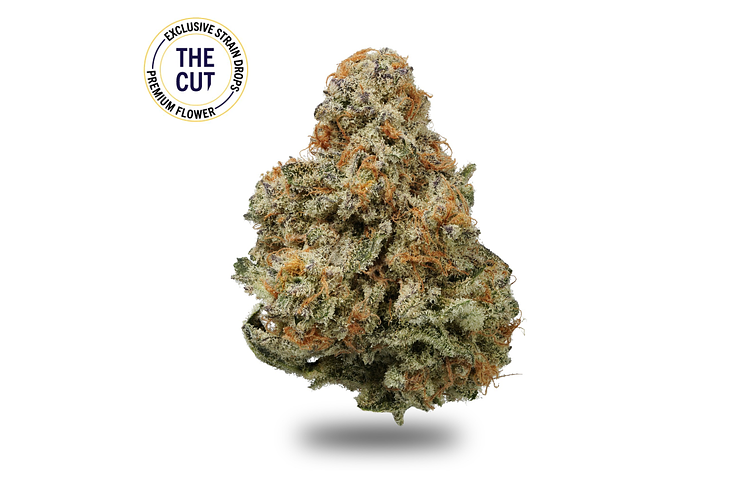 Mac Daddy by The Cut - Psycho Somatic